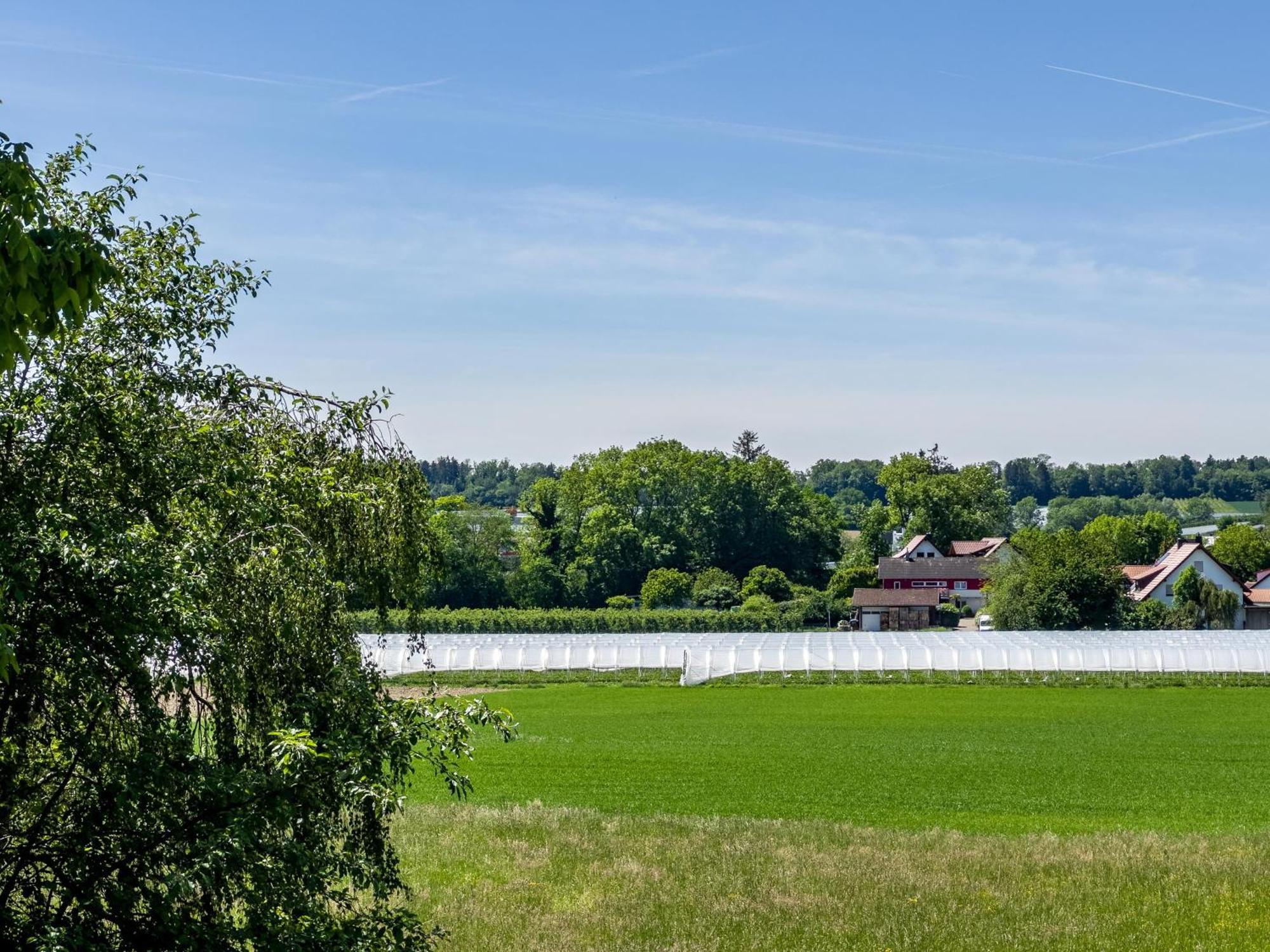 Haus Sohl 1 Lägenhet FDH Exteriör bild
